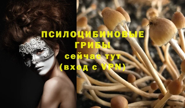 МДПВ Лагань