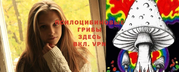 ешки Кукмор