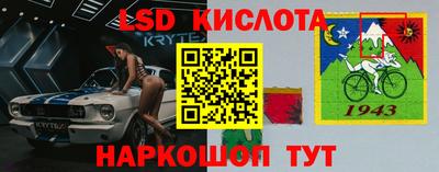 стафф Камышлов