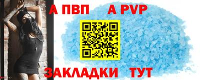 стафф Камышлов