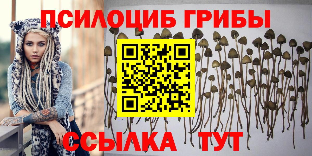 как найти закладки  Фурманов  Галлюциногенные грибы Cubensis  Псилоцибиновые грибы мухоморы 
